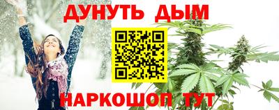 Альфа ПВП Сланцы