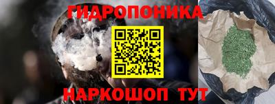 Альфа ПВП Сланцы