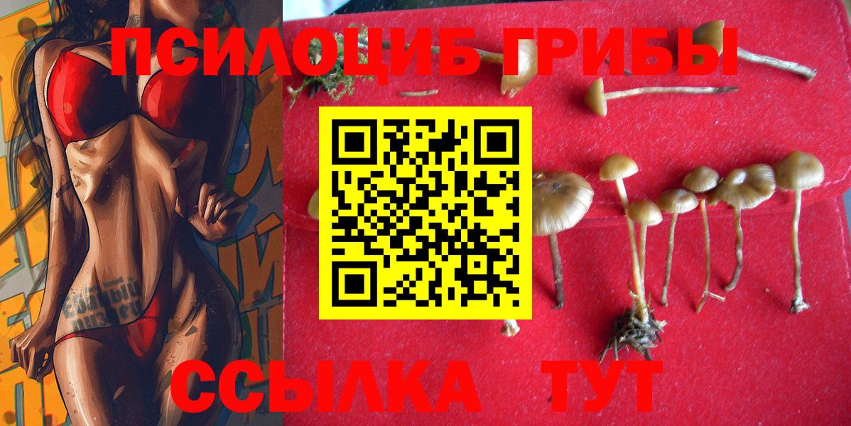 Псилоцибиновые грибы прущие грибы Донской