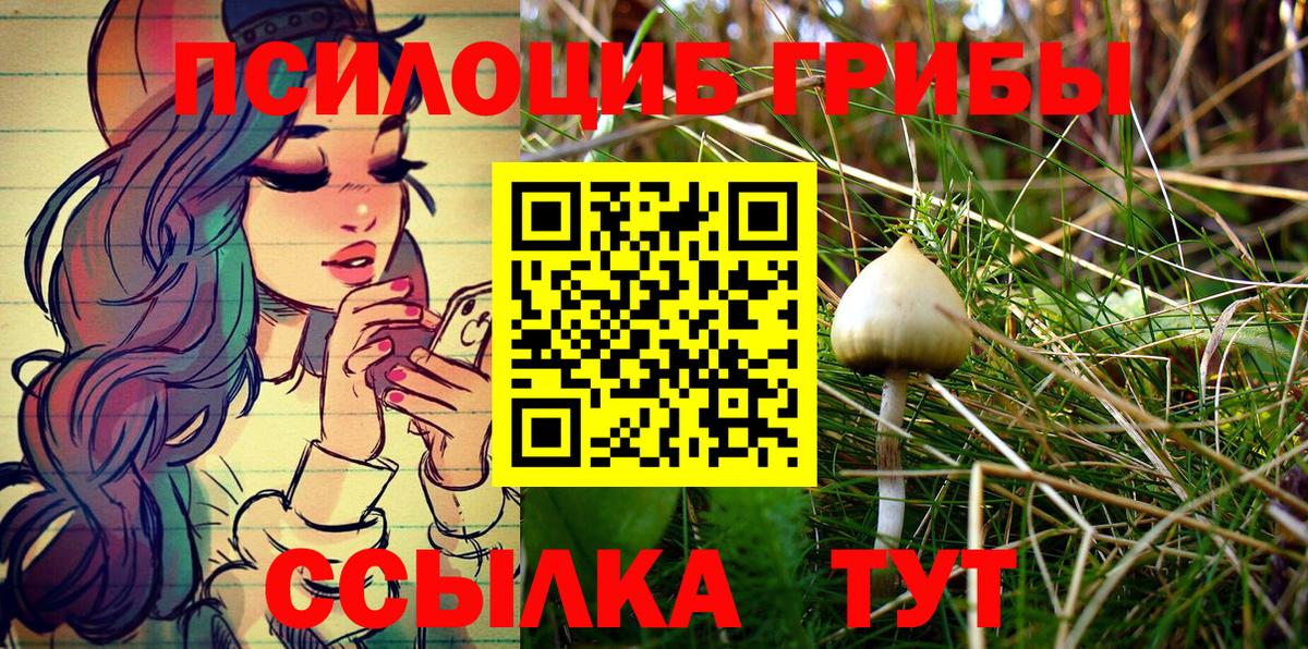 Галлюциногенные грибы Psilocybe  Вход с VPN  Псилоцибиновые грибы мухоморы  Донской 